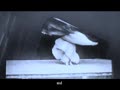 Watch this video!